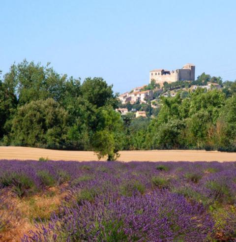 Le Provence Apartment Greoux-les-Bains ภายนอก รูปภาพ